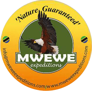 Mwewe Expeditions Safari Company Logo - Your Gateway to Tanzania Adventures